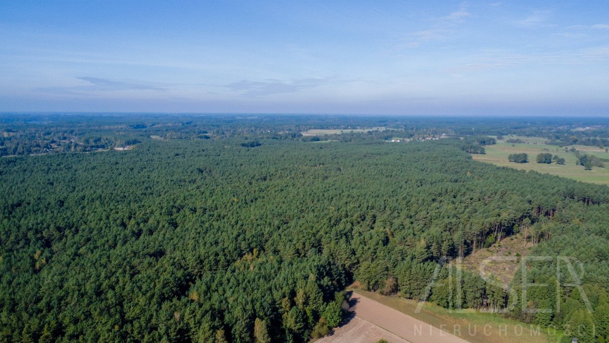 Działka leśna na sprzedaż Michałowo  36 000m2 Foto 1