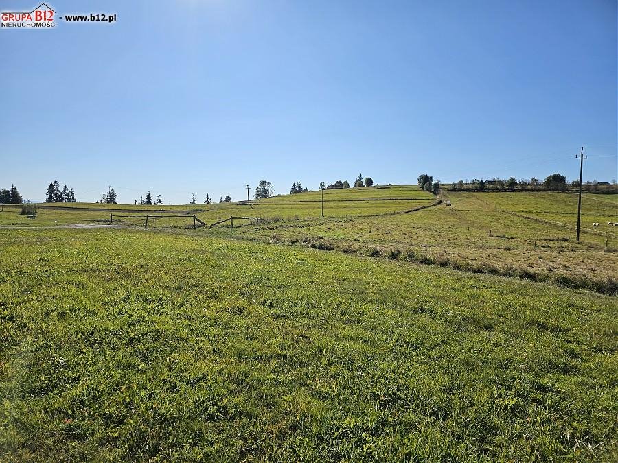 Działka budowlana na sprzedaż Czarny Dunajec, Czarny Dunajec, Odrowąż Podhalański  2 483m2 Foto 6