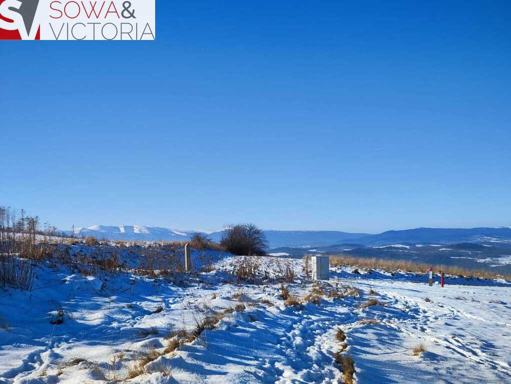 Działka inna na sprzedaż Jeżów Sudecki  2 089m2 Foto 1