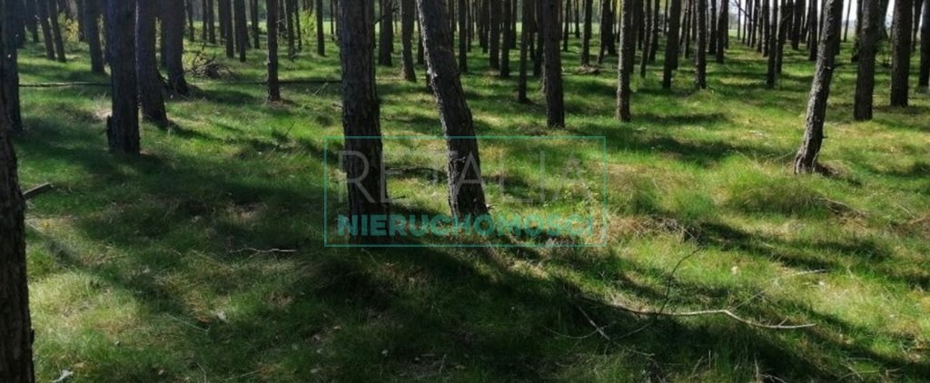 Działka leśna z prawem budowy na sprzedaż Milanówek  2 400m2 Foto 1