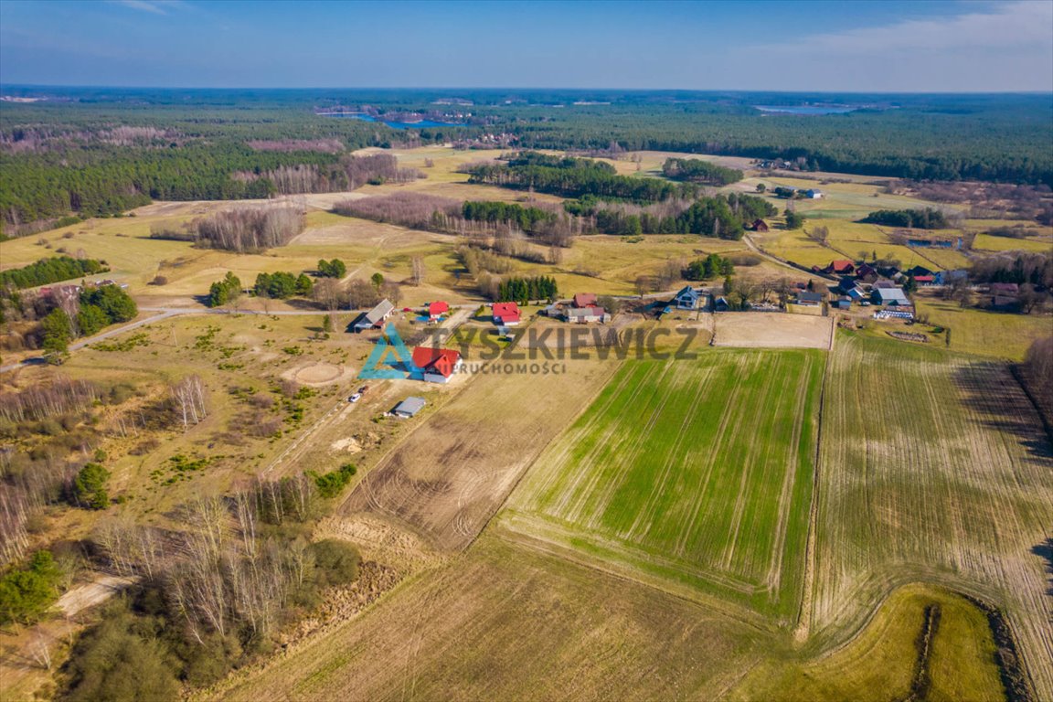 Działka rolna na sprzedaż Kurcze  3 517m2 Foto 12