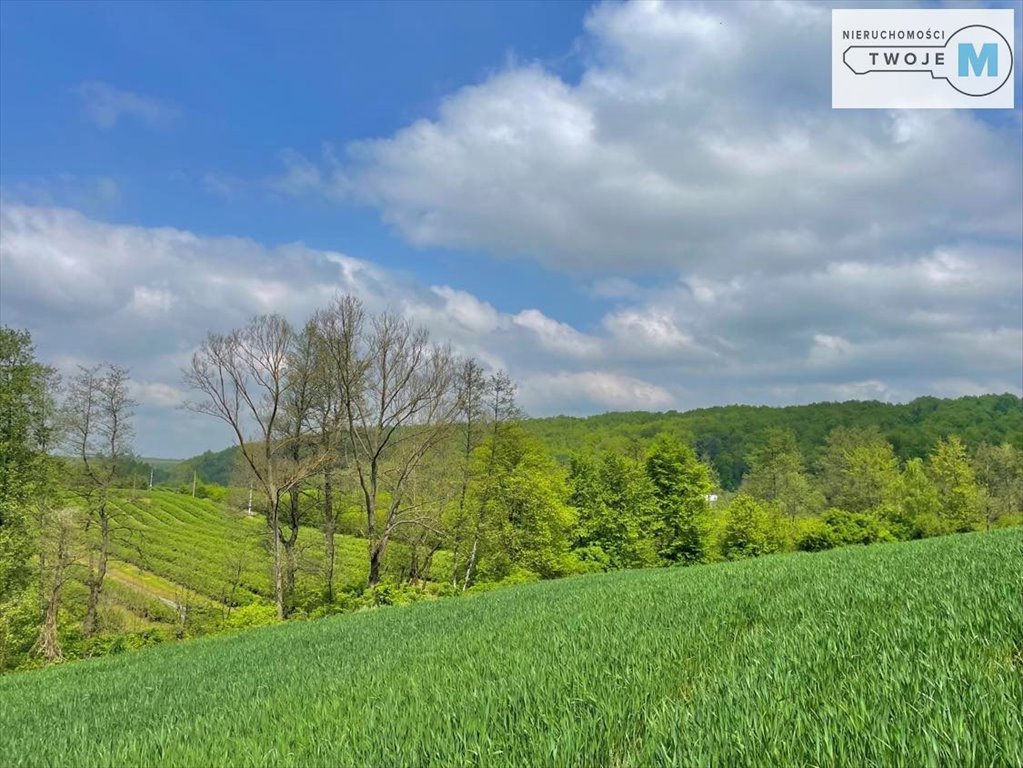 Działka inna na sprzedaż Ostrowiec Świętokrzyski, Czerwona Góra  6 400m2 Foto 12