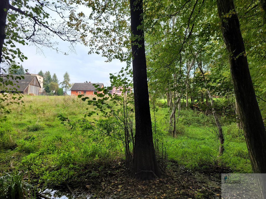 Działka budowlana na sprzedaż Janowice, Janowicka  2 167m2 Foto 4