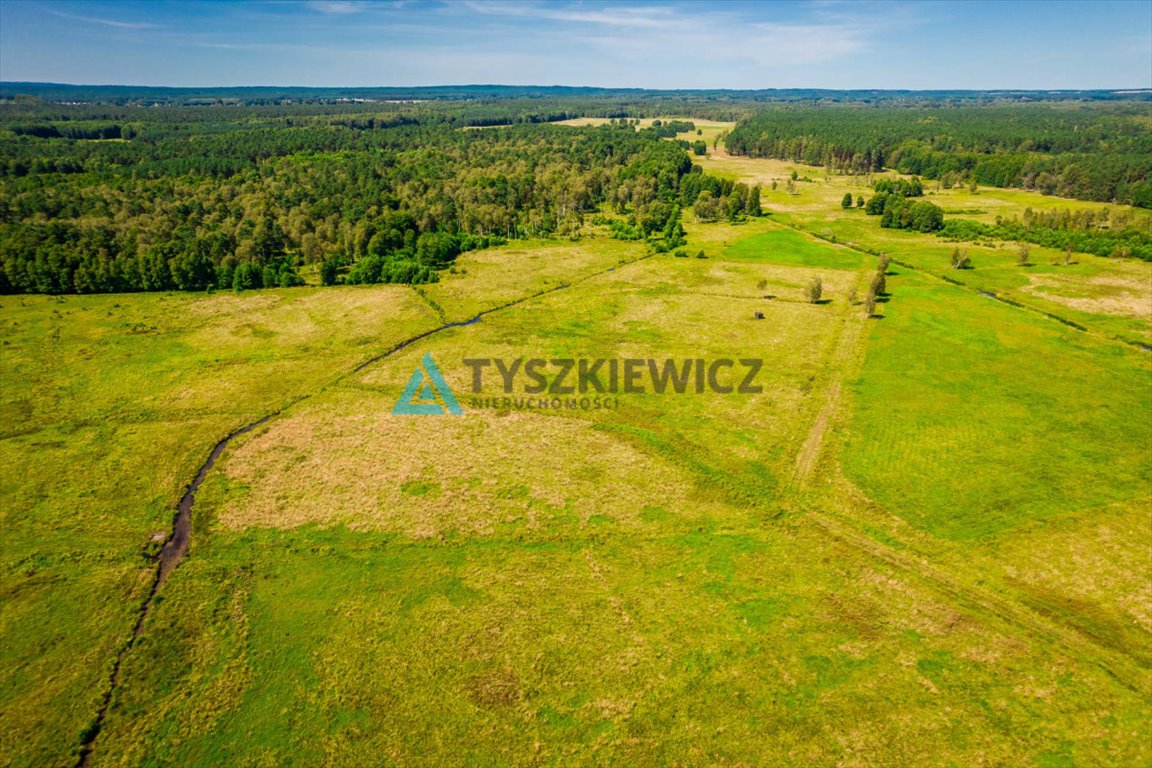 Działka rolna na sprzedaż Poborowo  9 200m2 Foto 5