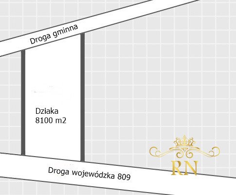 Działka rolna na sprzedaż Rudno  8 100m2 Foto 9