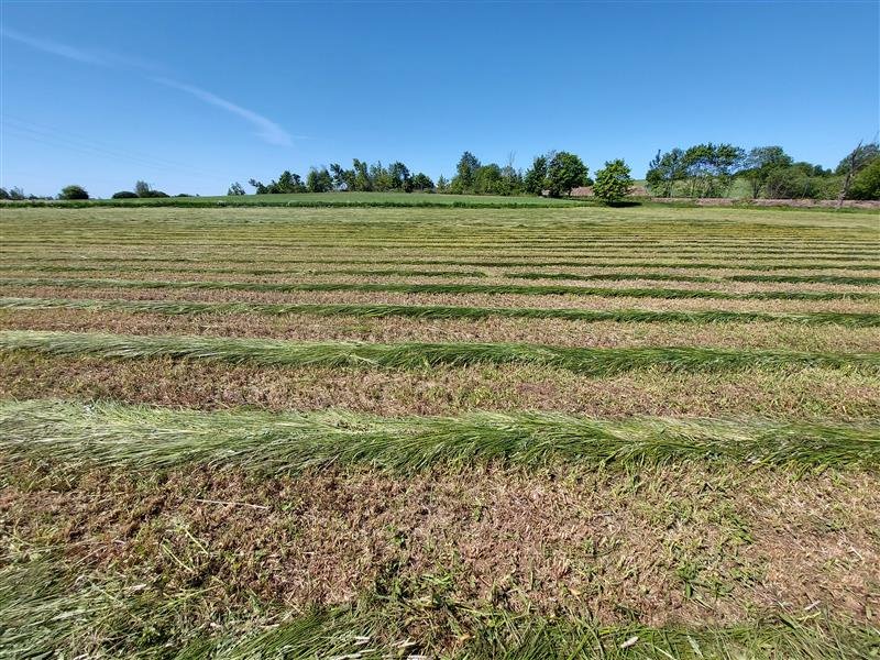 Działka rolna 21 300 m² blisko morza i jeziora Kopań Kopnica, Kopnica  21 300m2 Foto 1