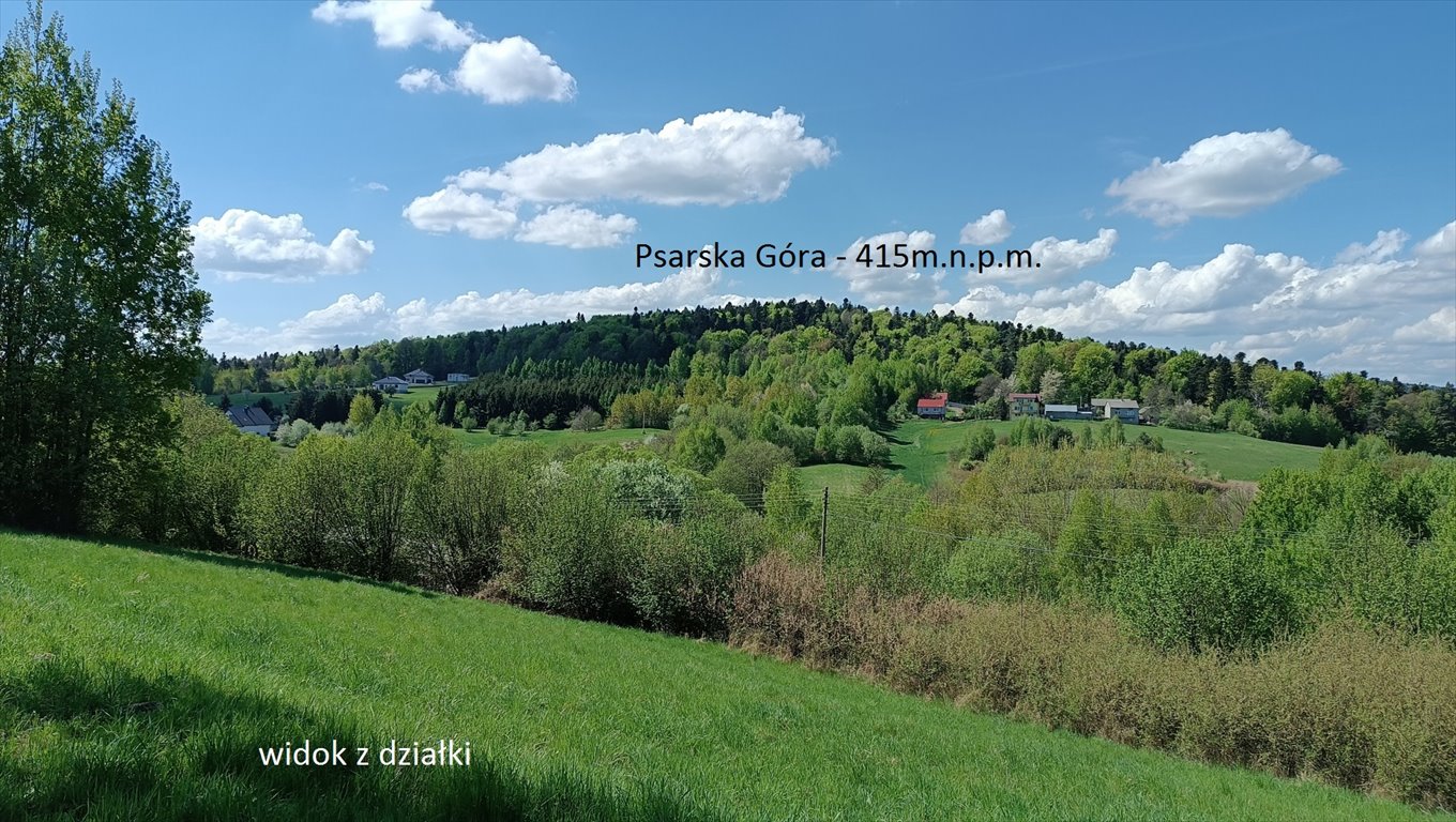 Działka budowlana na sprzedaż Święta Katarzyna  4 888m2 Foto 1