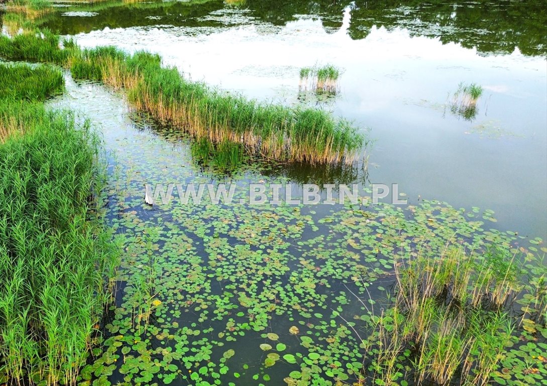 Działka rolna na sprzedaż Garbas  20 480m2 Foto 8