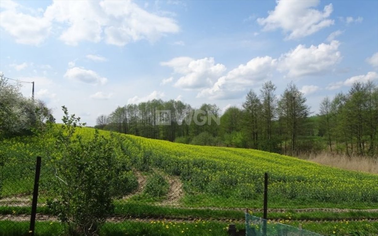 Kawalerka na sprzedaż Trepki, Trepki  64m2 Foto 4