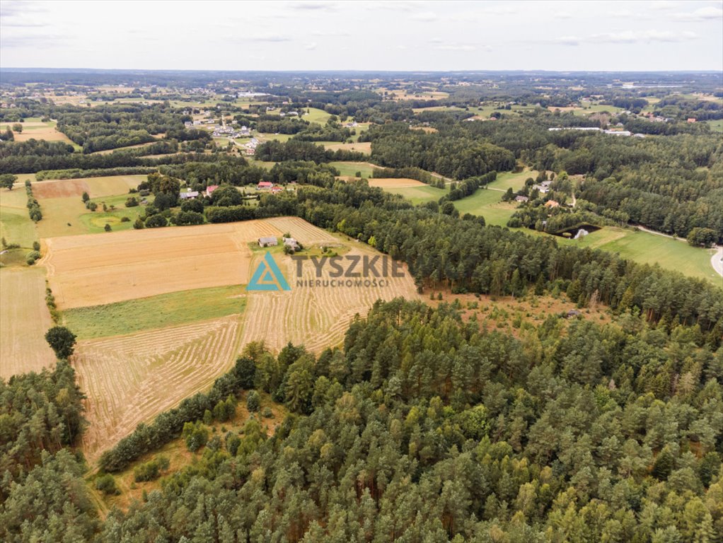 Działka rolna na sprzedaż Załęże, Kasztanowa  3 000m2 Foto 9