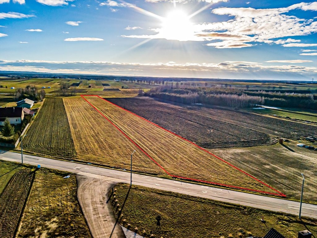 Przestronna działka 86,5 ar z mediami i dostępem do asfaltu Małogoszcz, Wola Tesserowa  8 650m2 Foto 1