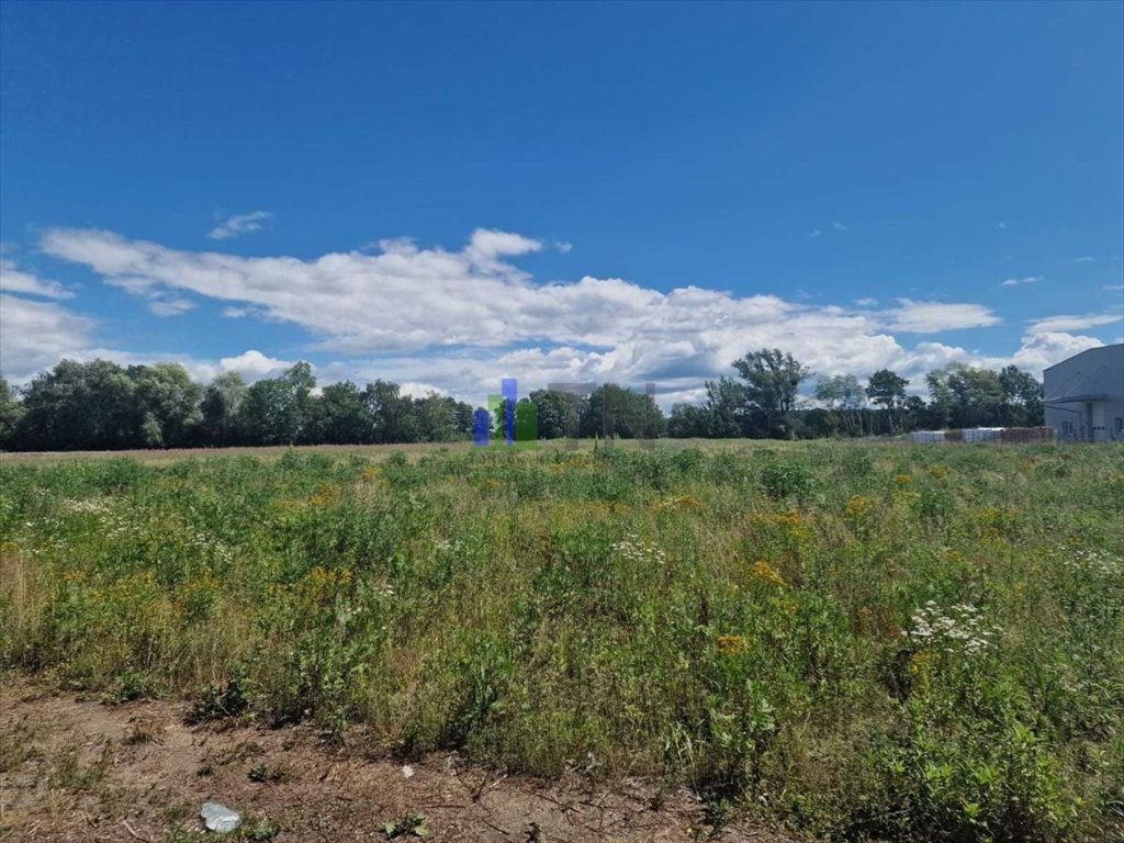 Działka przemysłowo-handlowa na sprzedaż Gajków  8 000m2 Foto 9