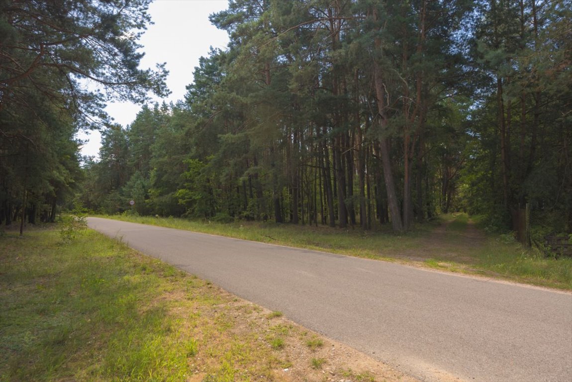 Działka leśna na sprzedaż Ossolin  2 000m2 Foto 3