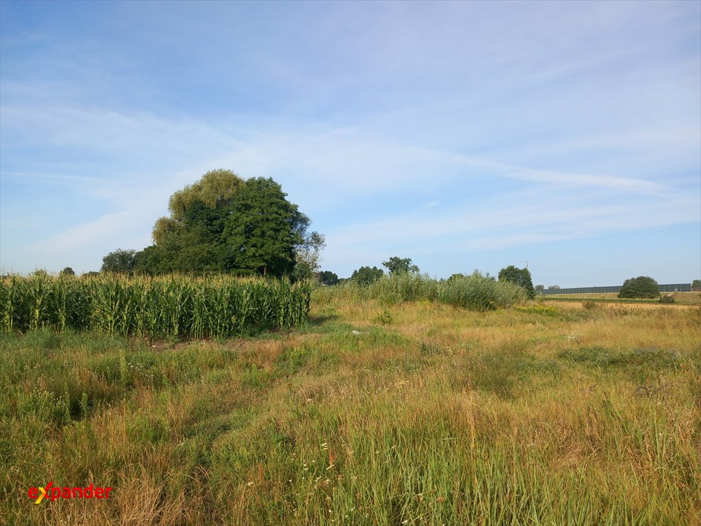 Polecam działkę 2,87 ha pod zabudowę w Kruszynie Krajeńskim Kruszyn Krajeński, Lipowa  28 705m2 Foto 1