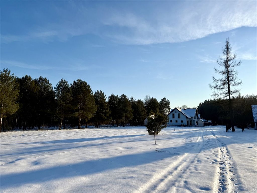 Działka budowlana 1000 m² z sosną, MPZP, utwardzona droga Osowiec, Szkolna  1 000m2 Foto 1