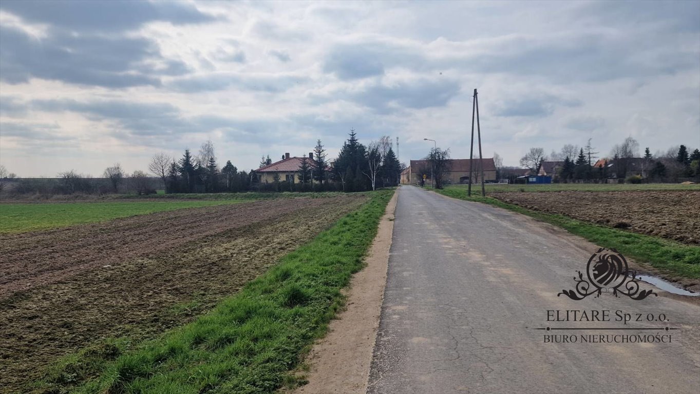 Działka siedliskowa 3000 m² w Sokolnikach, atrakcyjna cena Sokolniki, Sokolniki  3 000m2 Foto 1