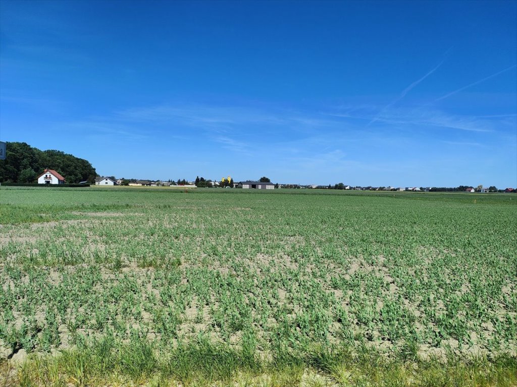 Działka budowlana na sprzedaż Ceradz Dolny  1 060m2 Foto 3