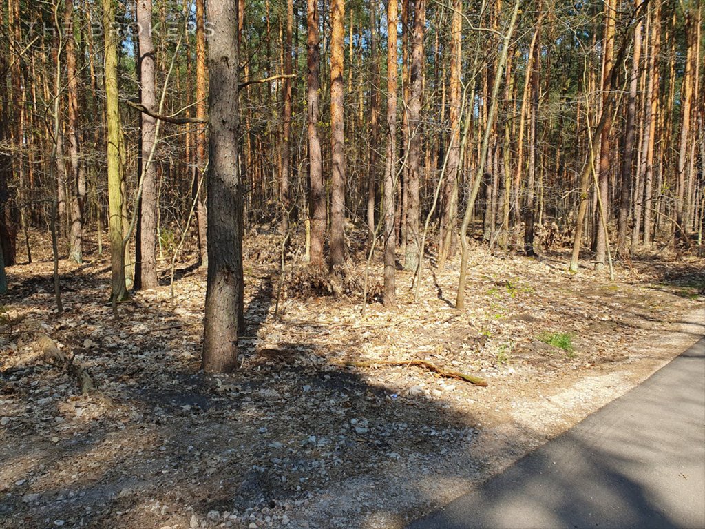Działka leśna na sprzedaż Warszawa, Wawer Radość, Liścienia  1 818m2 Foto 3