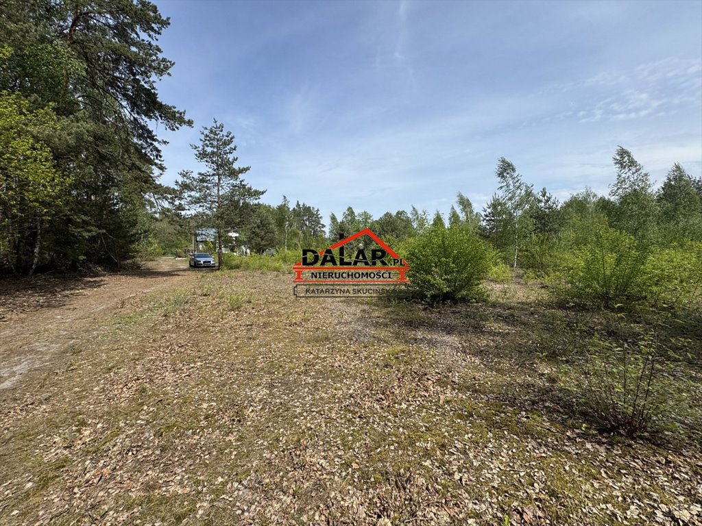 Działka 5 328 m² w Kątach (las, prywatność) - inwestycja: Kąty: Brzozowa