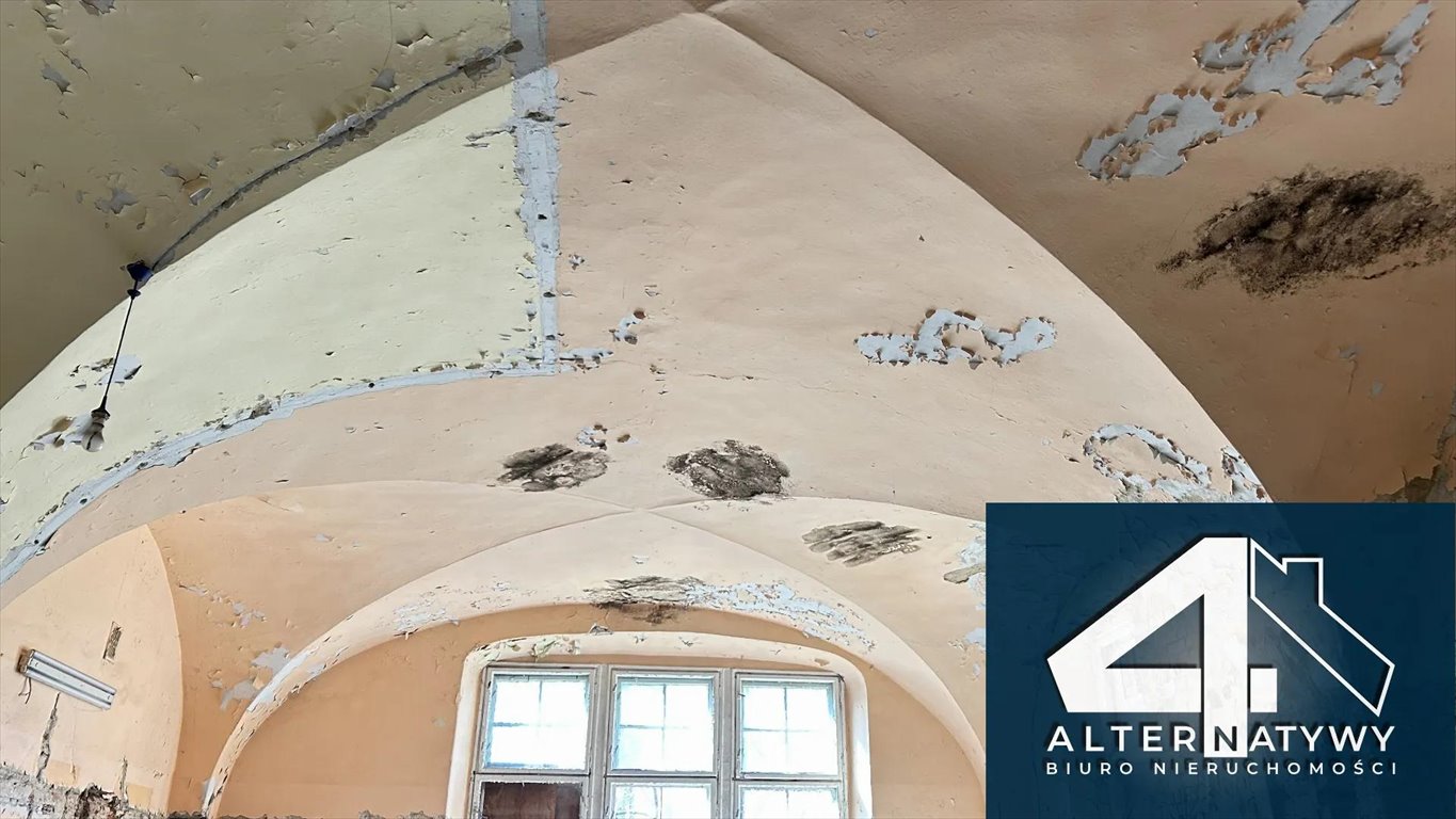 Lokal użytkowy na sprzedaż Pszczyna, dr Antesa 4  9 042m2 Foto 15