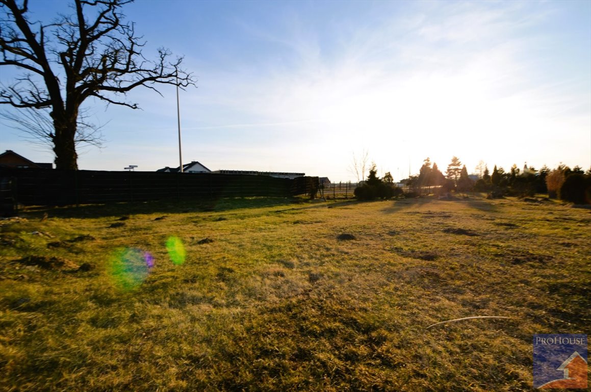 Działka budowlana na sprzedaż Orzesze  1 003m2 Foto 8