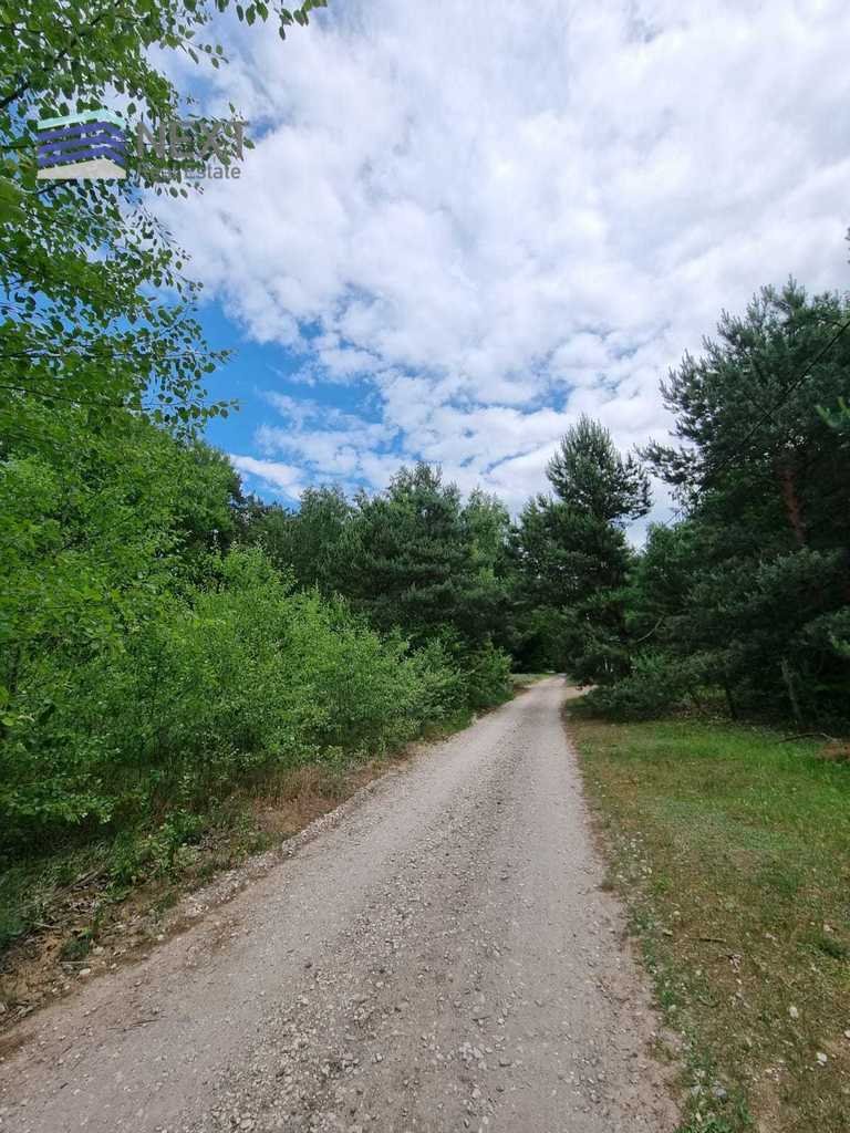 Działka leśna z prawem budowy na sprzedaż Powązki, Przytulna  3 624m2 Foto 6