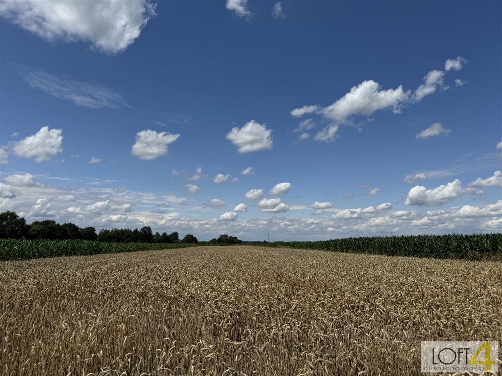 Działka budowlana na sprzedaż Borzęcin  4 400m2 Foto 9