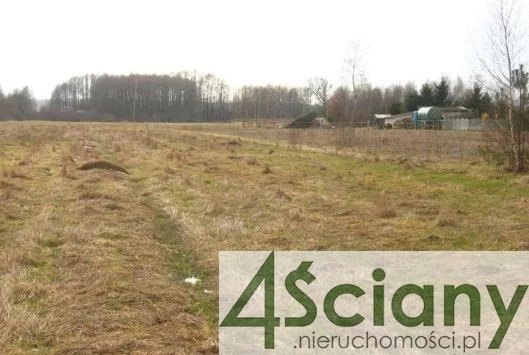 Działka rolna na sprzedaż Skuły  14 200m2 Foto 1