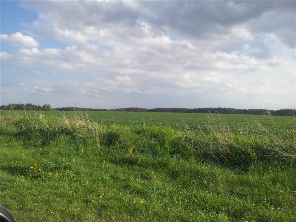 Działka inna na sprzedaż Golęczewo, Suchy Las 825m2 Foto 1 Działka inna na sprzedaż Golęczewo, Suchy Las 825m2 Foto 1