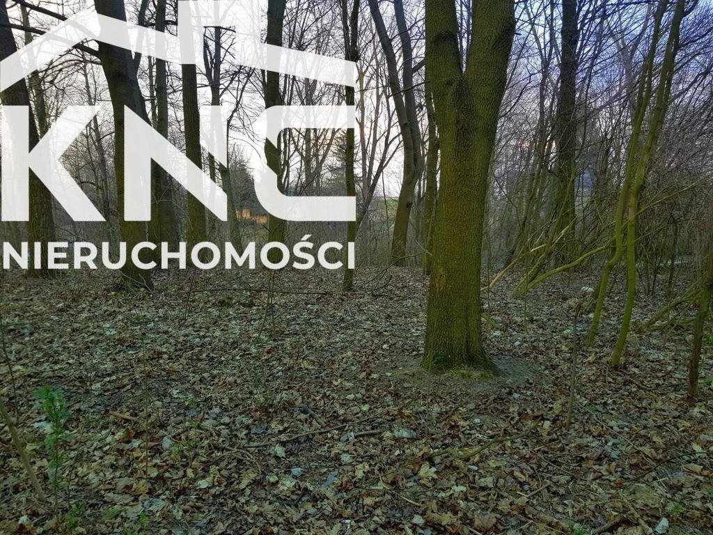 Działka leśna na sprzedaż Kocianów  3 300m2 Foto 1