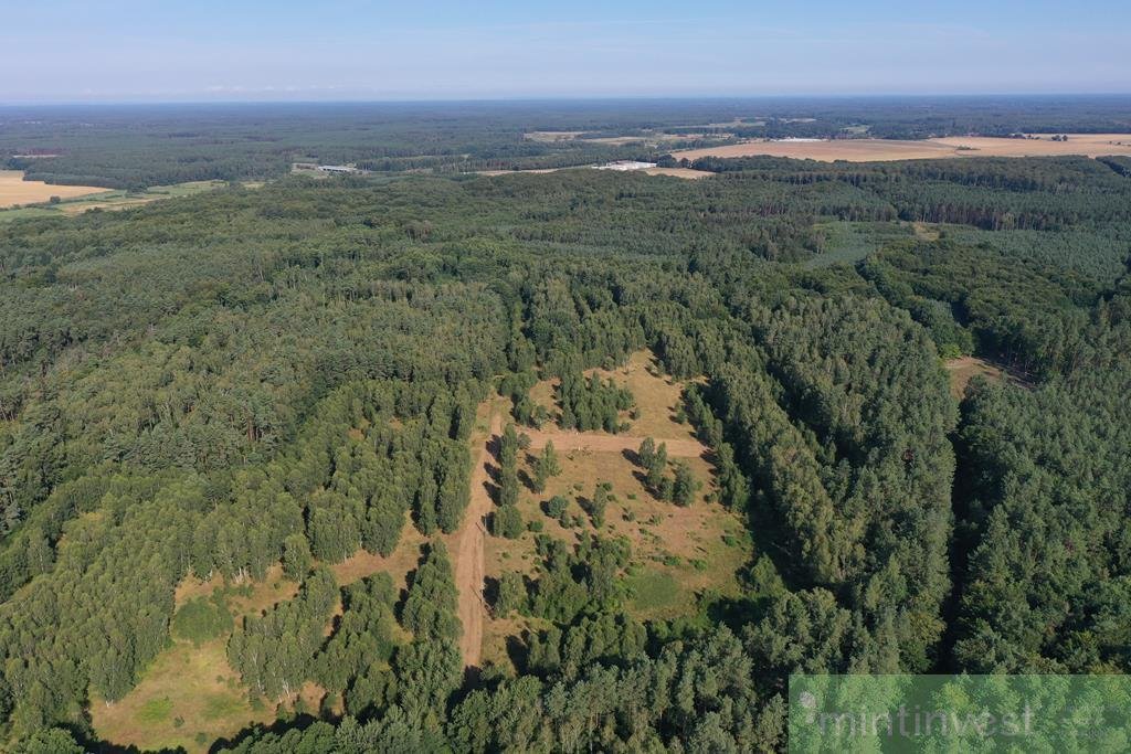 Działka pod zabudowę w Krzywicach, las, media, 2,9 ha Krzywice  28 987m2 Foto 1