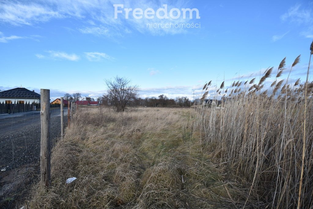 Działka budowlana na sprzedaż Namysłów  1 100m2 Foto 4