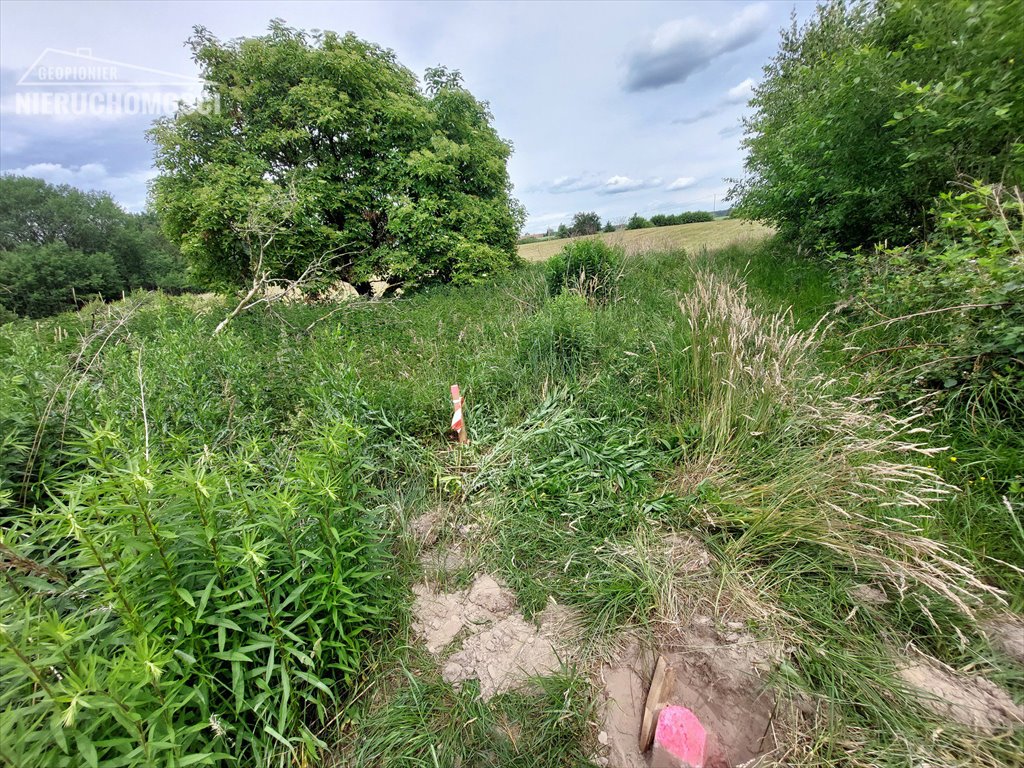 Działka rolna na sprzedaż Zwierzewo, Zwierzewo  2 345m2 Foto 6