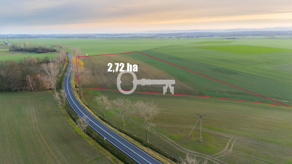 Działka inwestycyjna 2,72 ha przy DK94, Chojnów Michów  28 000m2 Foto 1