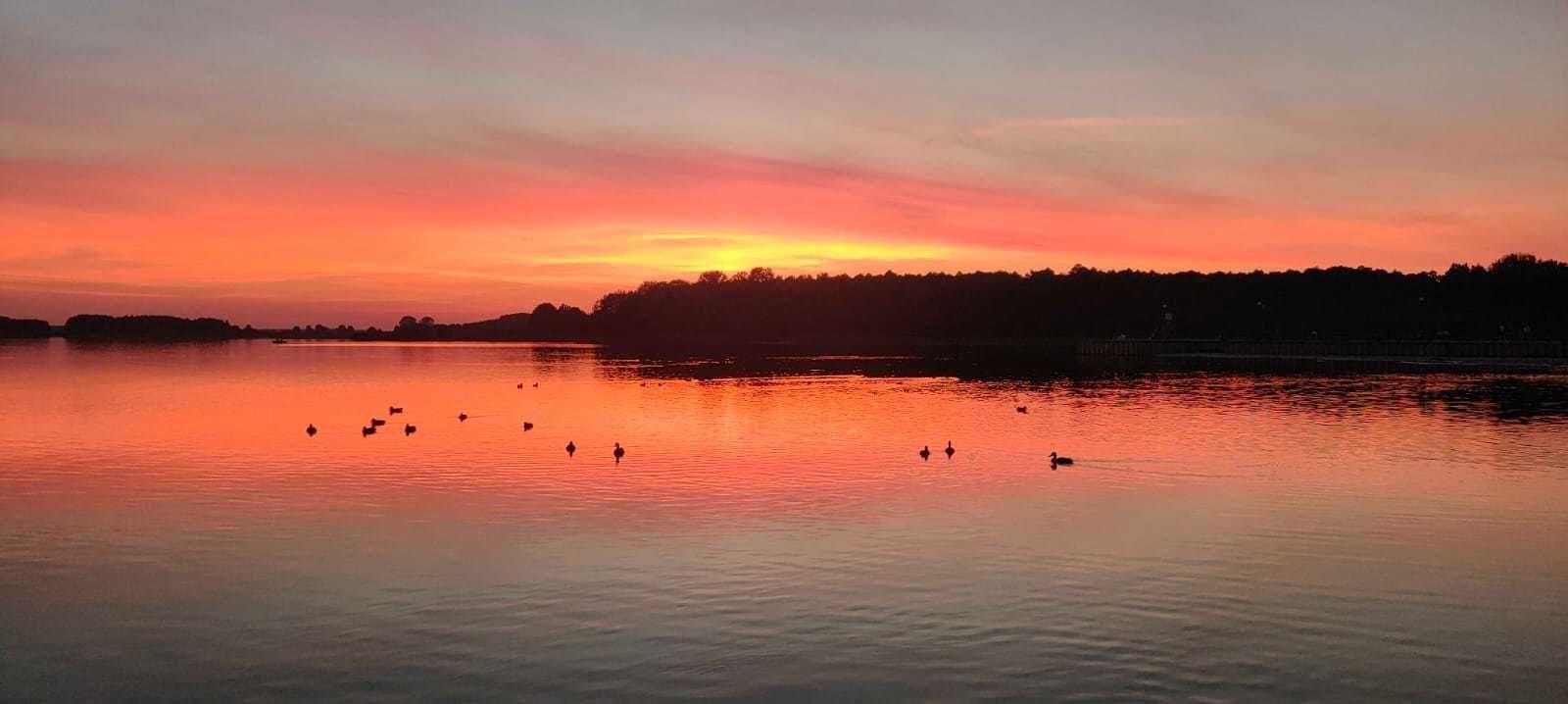 Działka budowlana na sprzedaż Wylatkowo  951m2 Foto 1