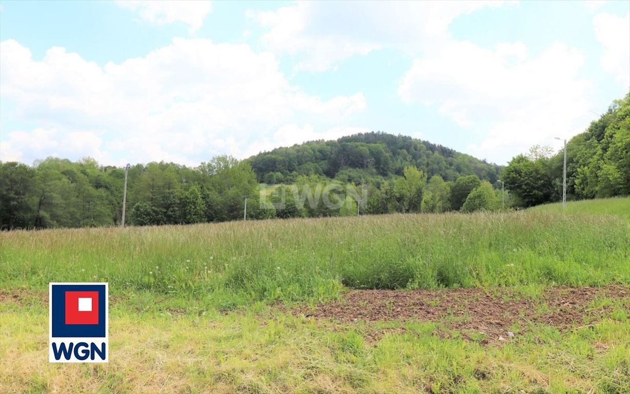 Działka budowlana na sprzedaż Ustroń, Brody  1 240m2 Foto 2