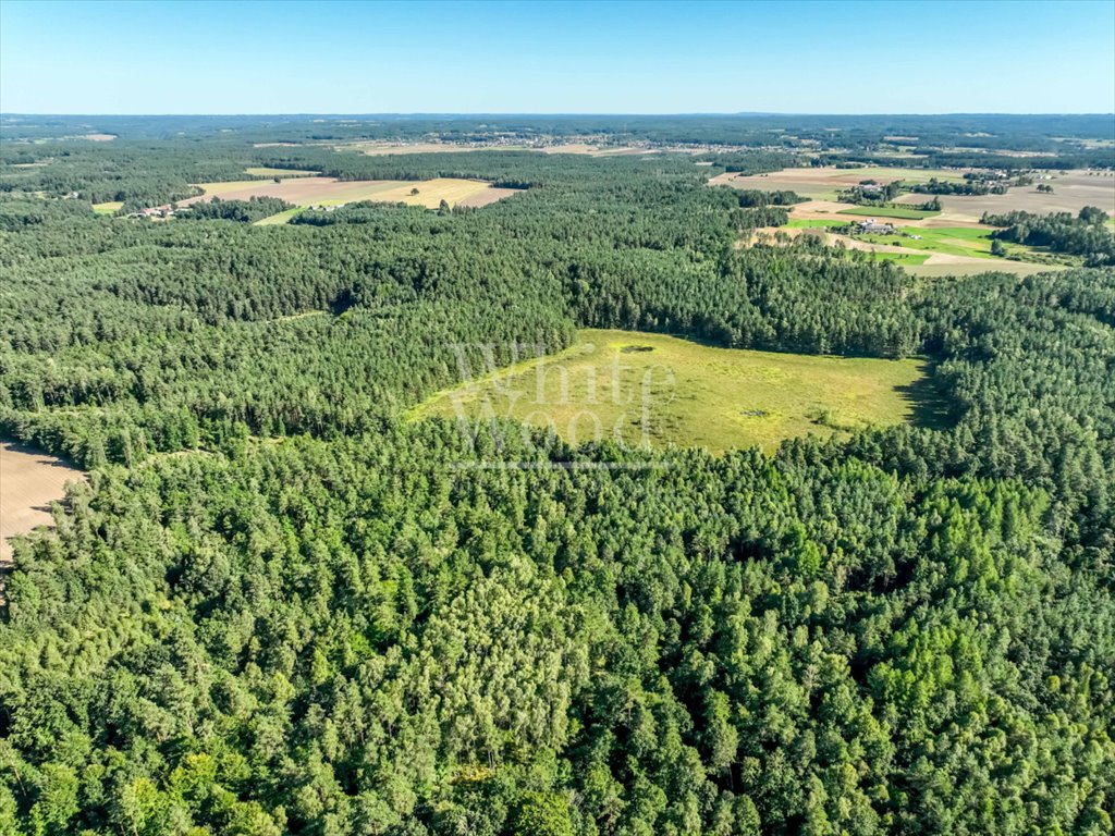 Działka rolna na sprzedaż Kętrzyno  453 100m2 Foto 7