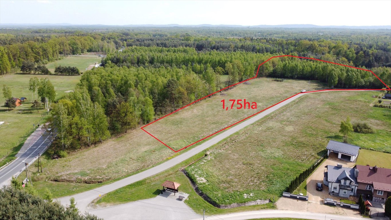 Do sprzedania działka 17 500 m² z możliwością podziału i pełnym uzbrojeniem Rudy-Rysie  17 500m2 Foto 1