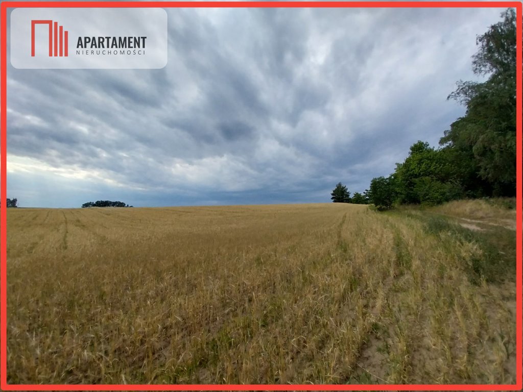 Działki pod dom z widokiem na las, 926 m2. Łabiszyn-Wieś  926m2 Foto 1