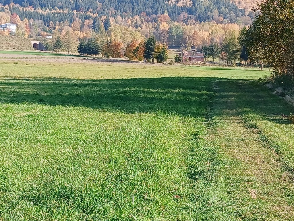 Działka budowlana na sprzedaż Kowary, Tadeusza Rejtana  4 732m2 Foto 5