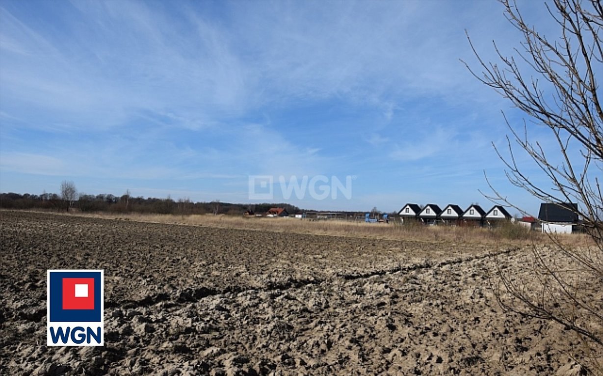 Działka budowlana na sprzedaż Jezierzany, Jezierzany  20 329m2 Foto 10