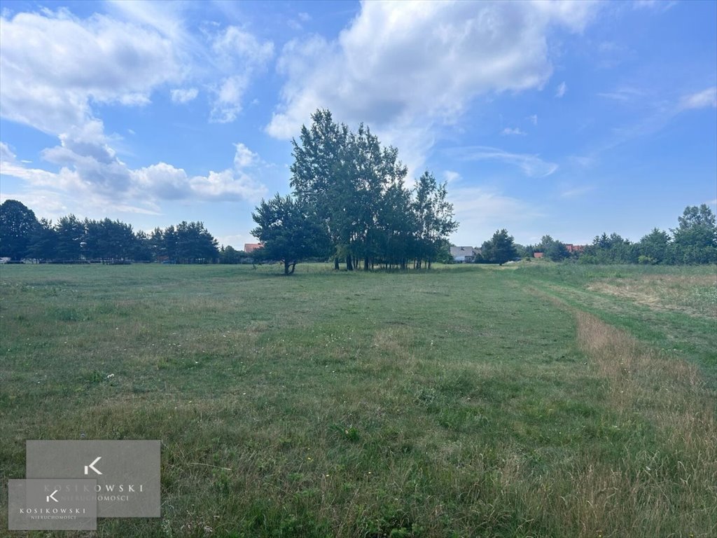 Działka inna na sprzedaż Pokój, Zieleniec  4 900m2 Foto 3