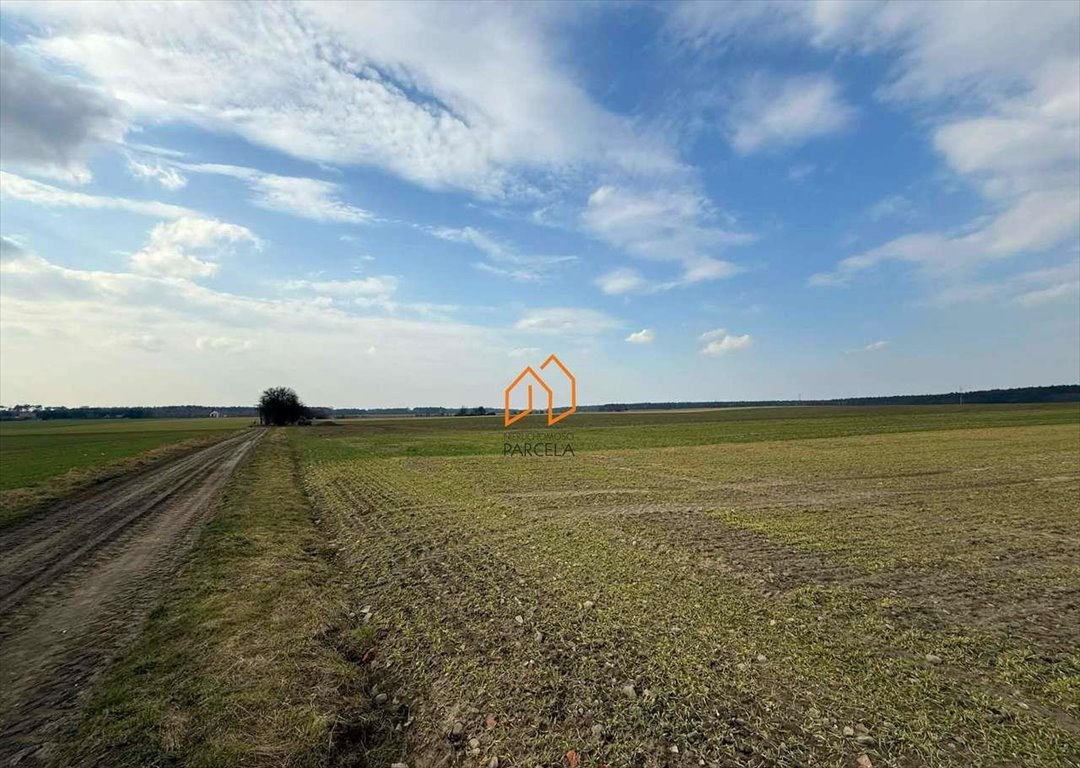 Urokliwa działka rolna 35 ha, idealna pod uprawy Rogalin  350 000m2 Foto 1