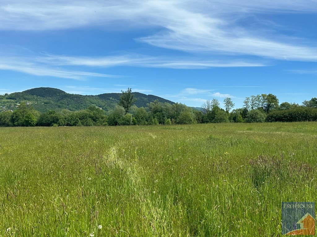 Działka budowlana na sprzedaż Podłopień  4 058m2 Foto 10