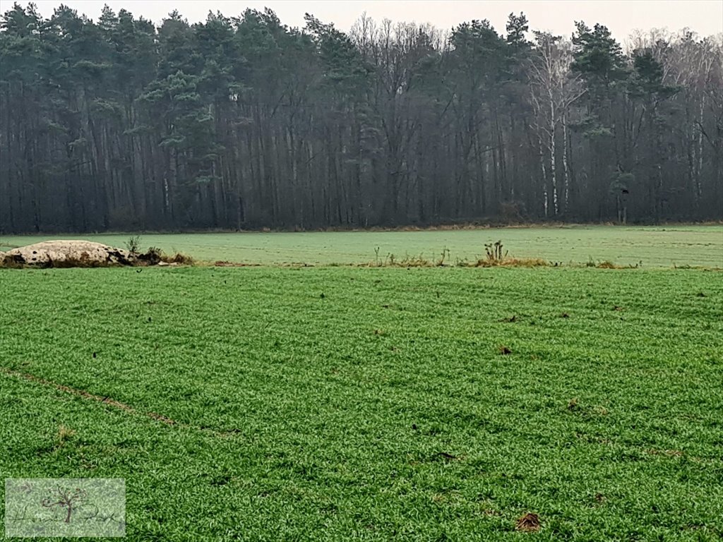 Działka budowlana na sprzedaż Gajówka, Gajówka  4 500m2 Foto 8