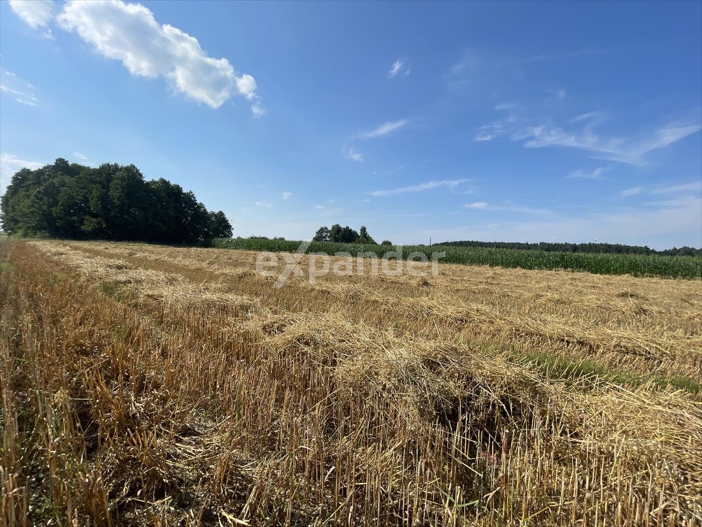 Działka budowlana na sprzedaż Kalisz  1 000m2 Foto 1