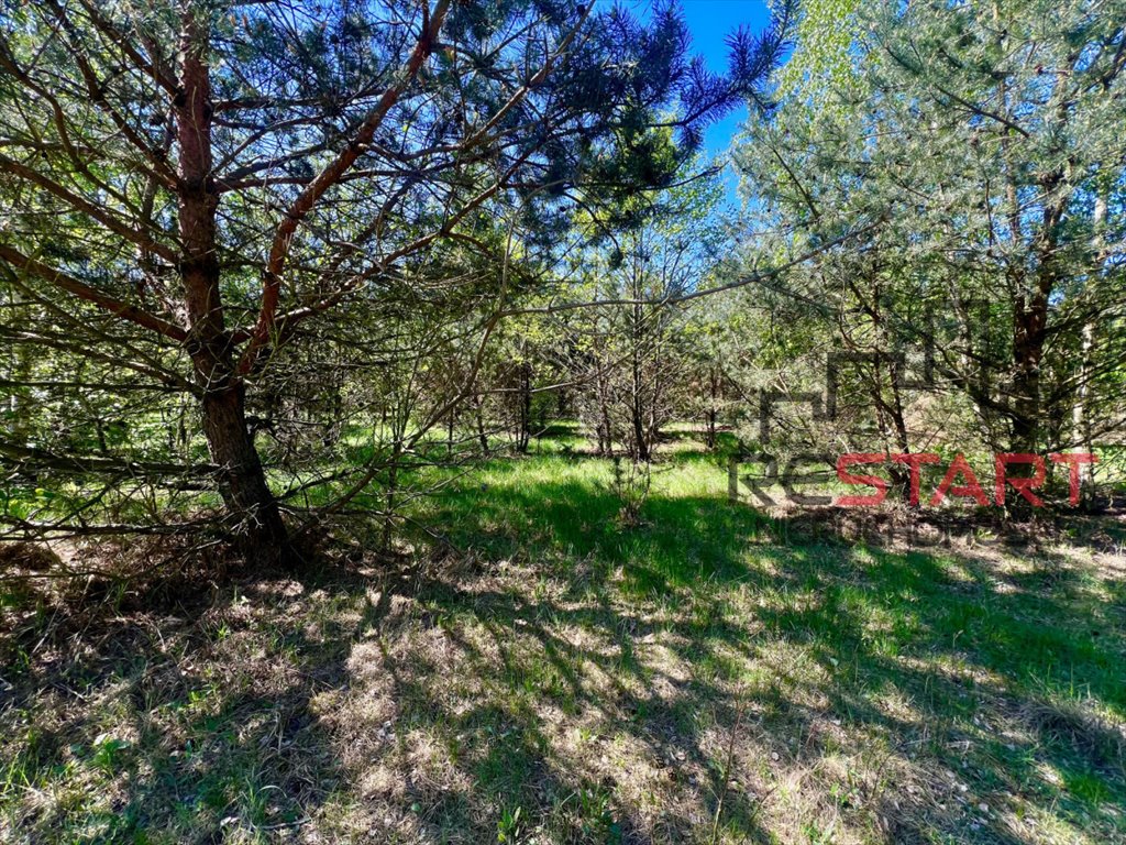 Sprzedam działkę 1215 m² z lasem i mediami w Budy-Grzybek Budy-Grzybek  1 215m2 Foto 1