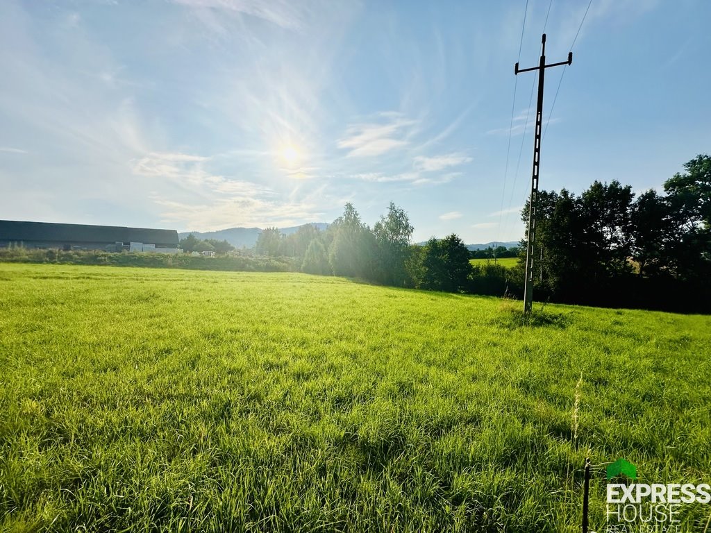 Działka budowlana na sprzedaż Lipowa, Promienna  1 747m2 Foto 1