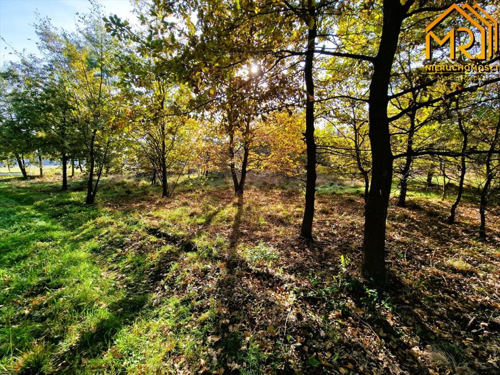 Działka inna na sprzedaż Sutków  15 100m2 Foto 5