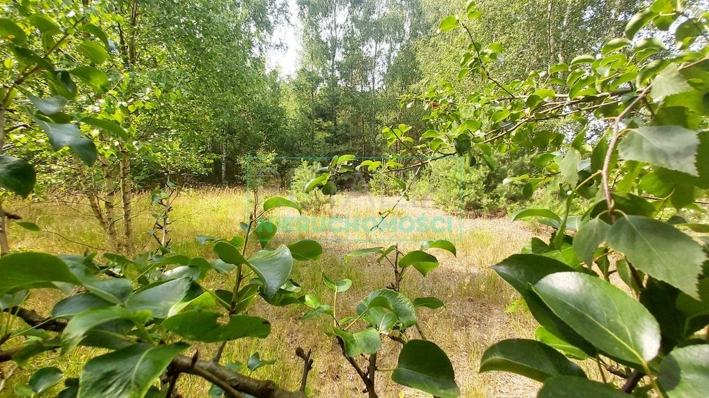 Działka rolna 6708 m² z mediami, las i spokój Jaktorów  3 000m2 Foto 1